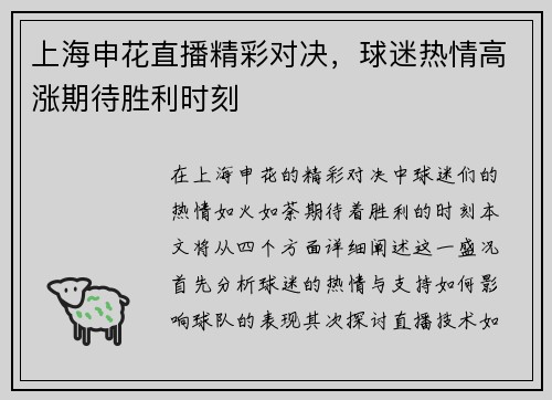 上海申花直播精彩对决，球迷热情高涨期待胜利时刻