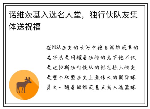 诺维茨基入选名人堂，独行侠队友集体送祝福